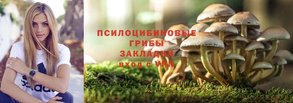 бошки Алзамай