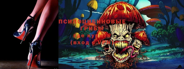 марихуана Абаза