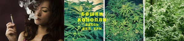 бошки Алзамай