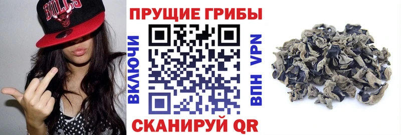 Псилоцибиновые грибы мицелий  купить  цена  Донецк 