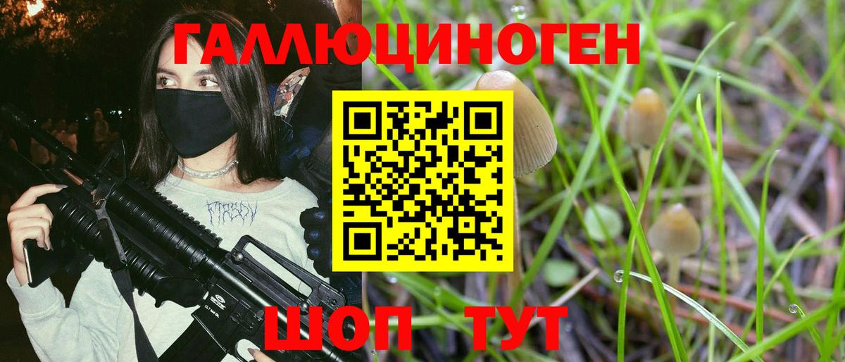 Псилоцибиновые грибы мицелий Донецк