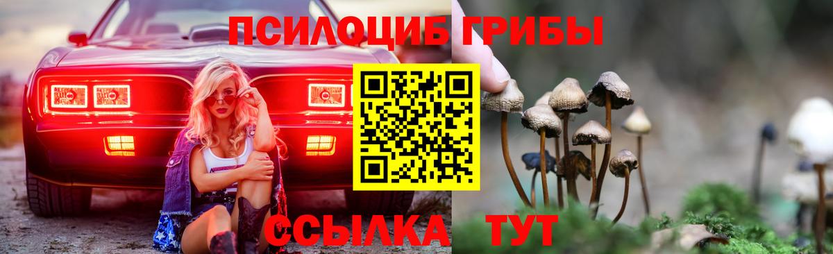Донецк  Галлюциногенные грибы ЛСД  как найти закладки  Псилоцибиновые грибы Psilocybine cubensis  Вход с VPN 